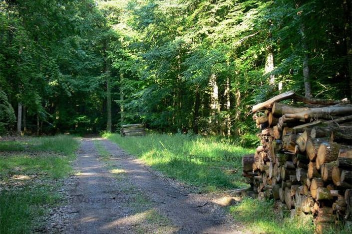 Offres - Relais Saint Louis - restaurant BELLEME